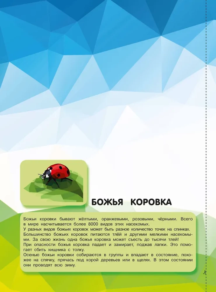Insects