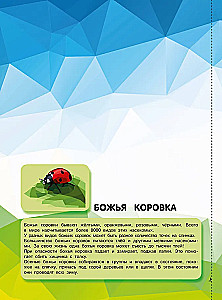 Insects