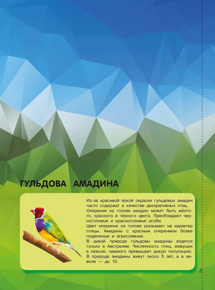 Birds