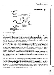 Therapeutic Rehabilitation Massage for Beginners. Practical Guide