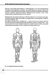 Therapeutic Rehabilitation Massage for Beginners. Practical Guide