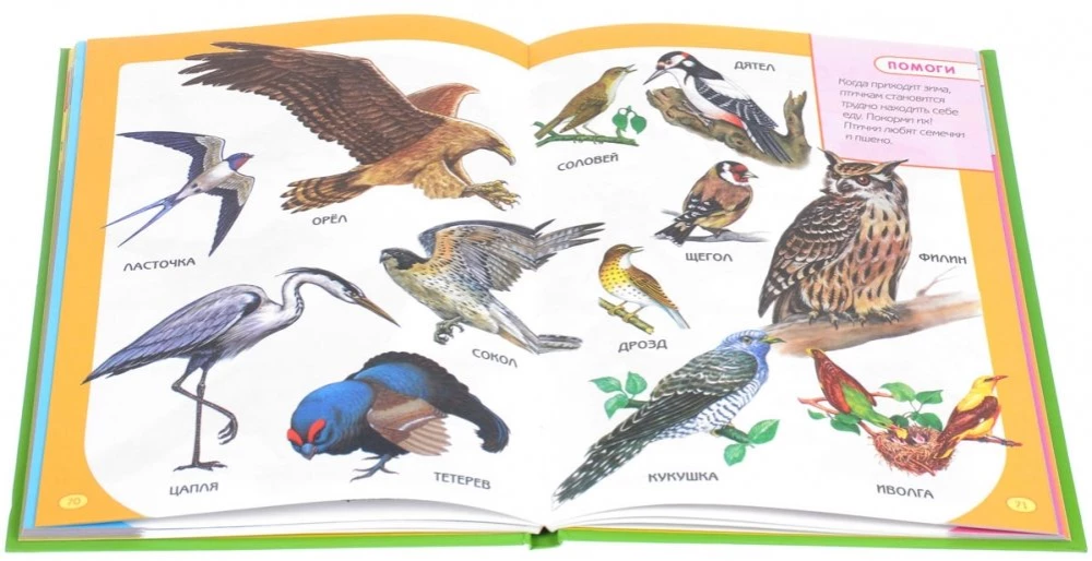 Первая книга для самых маленьких