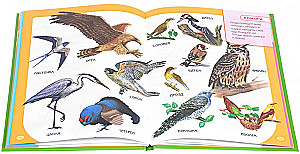 Первая книга для самых маленьких