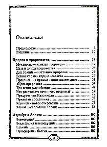 Сияющий Коран. Взгляд библеиста