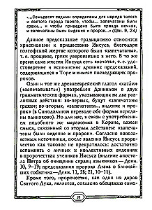 Сияющий Коран. Взгляд библеиста