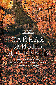 The Hidden Life of Trees. What They Feel, How They Communicate — The Discovery of a Secret World