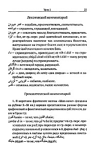 Classical Persian Language: A Reading Texts Guide
