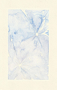 Wakkanai