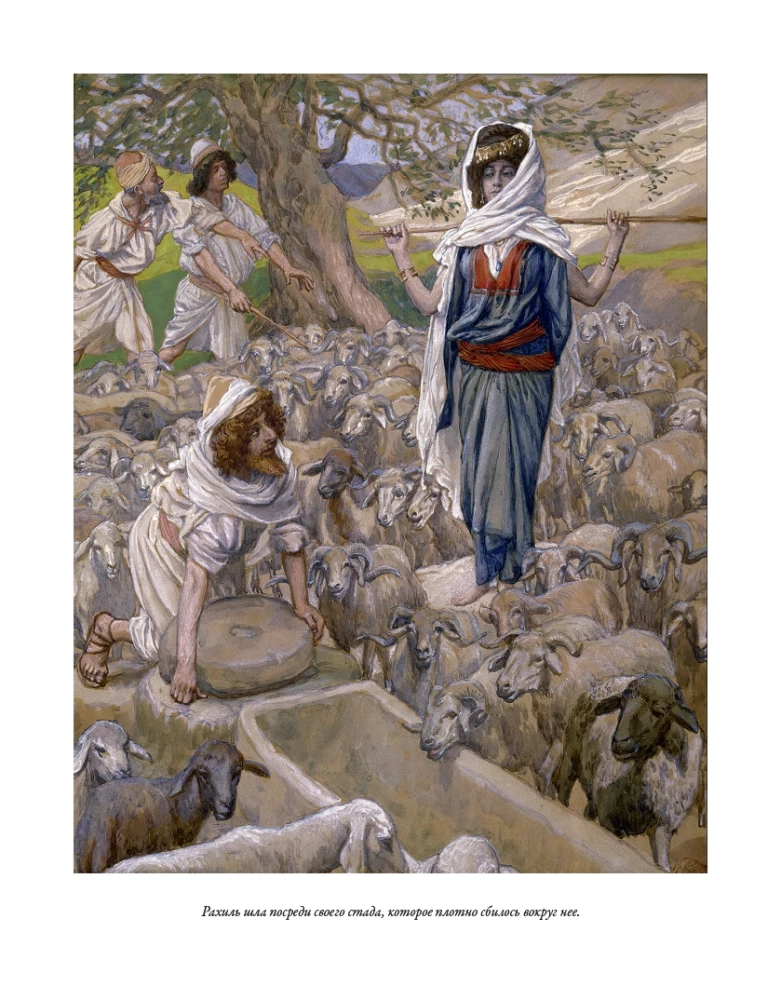 Joseph and His Brothers