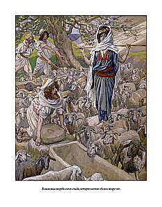 Joseph and His Brothers