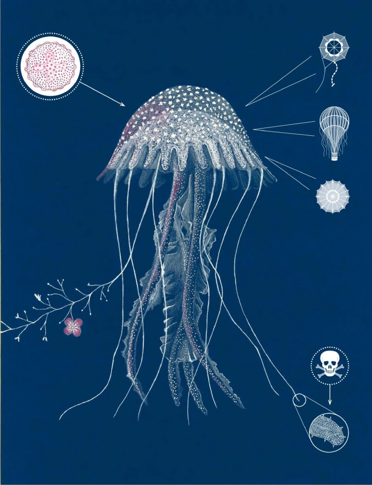 Jellyfish Garden