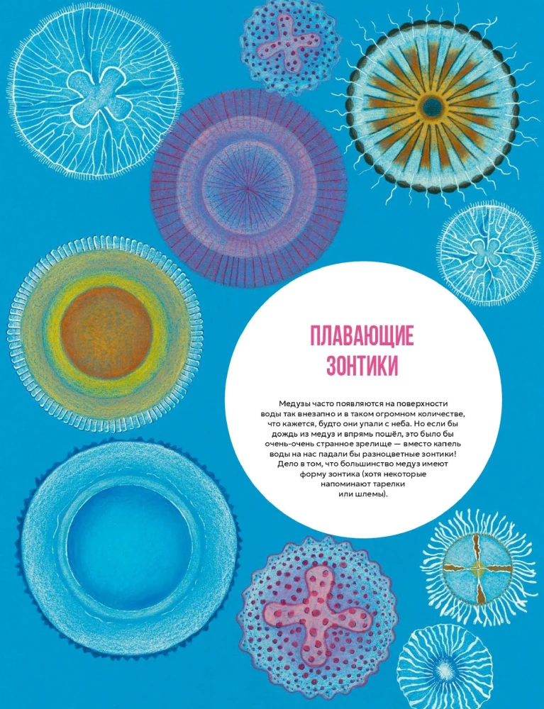 Jellyfish Garden