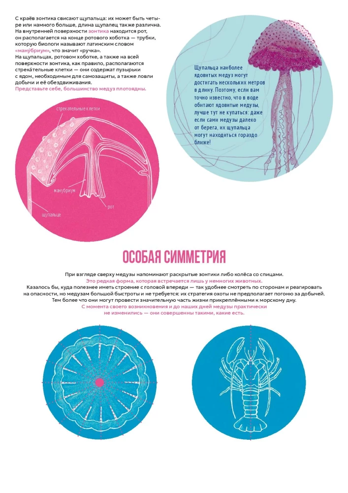 Jellyfish Garden