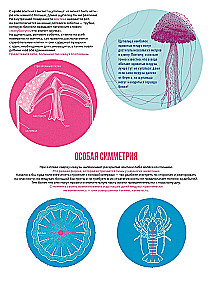 Jellyfish Garden