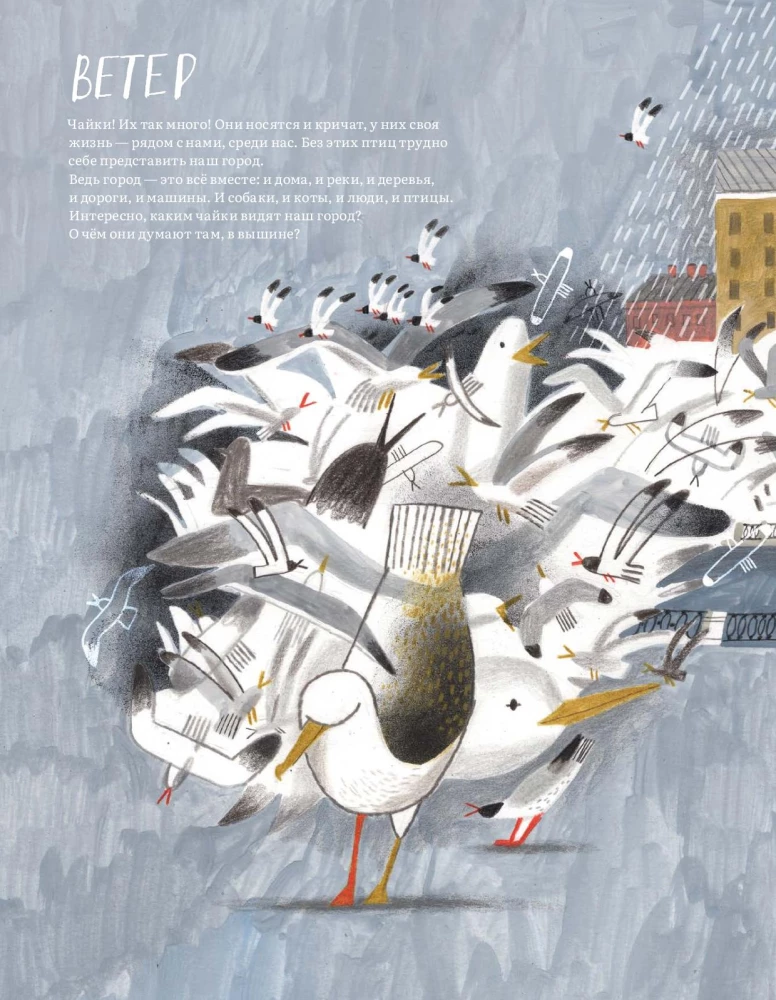 Pēterburga – pilsēta kaijām