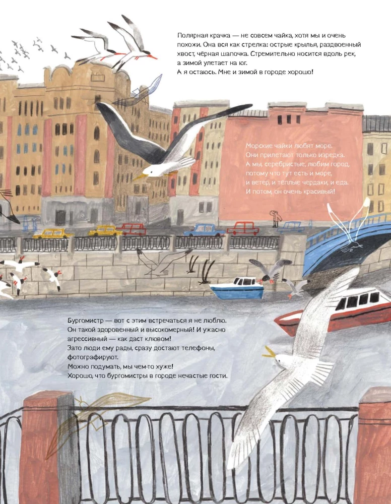 Pēterburga – pilsēta kaijām