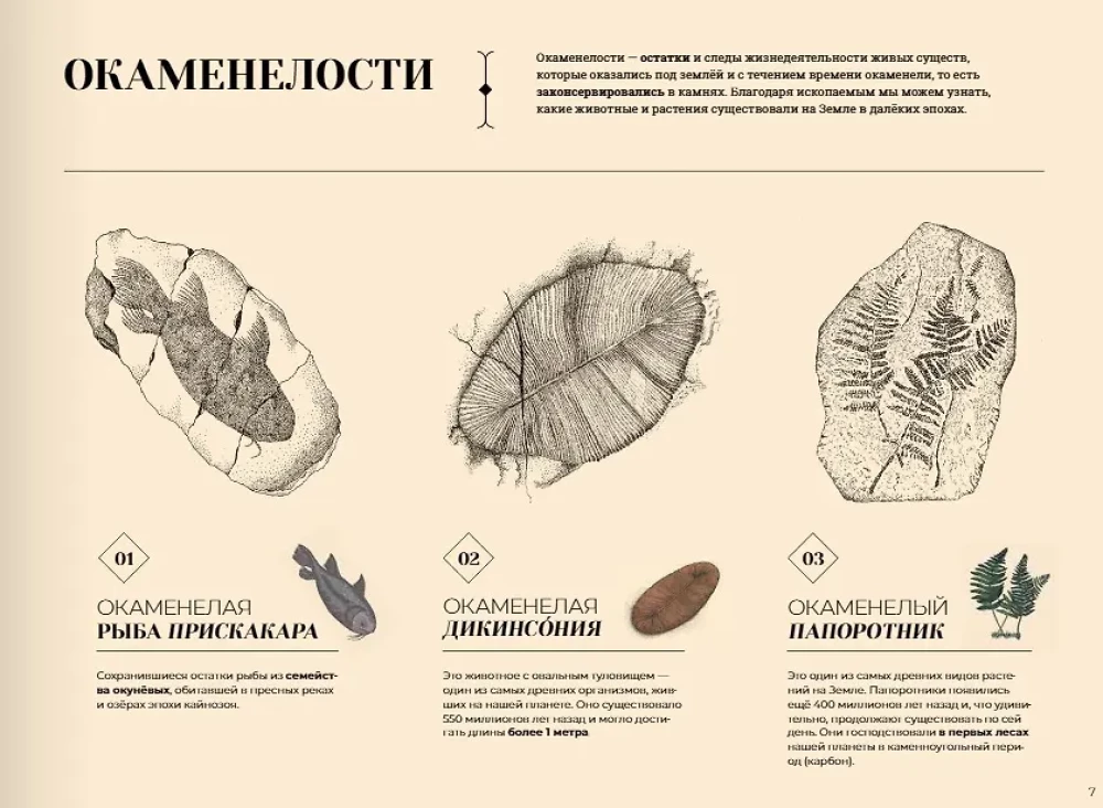 Lost Landscapes of Earth