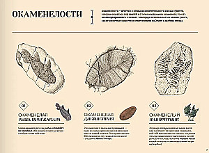 Lost Landscapes of Earth