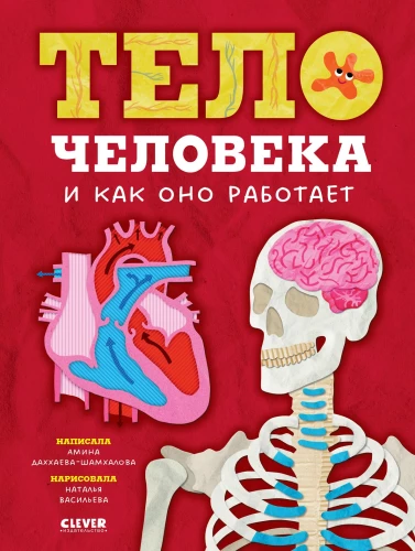 The Human Body and How It Works