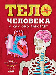 The Human Body and How It Works
