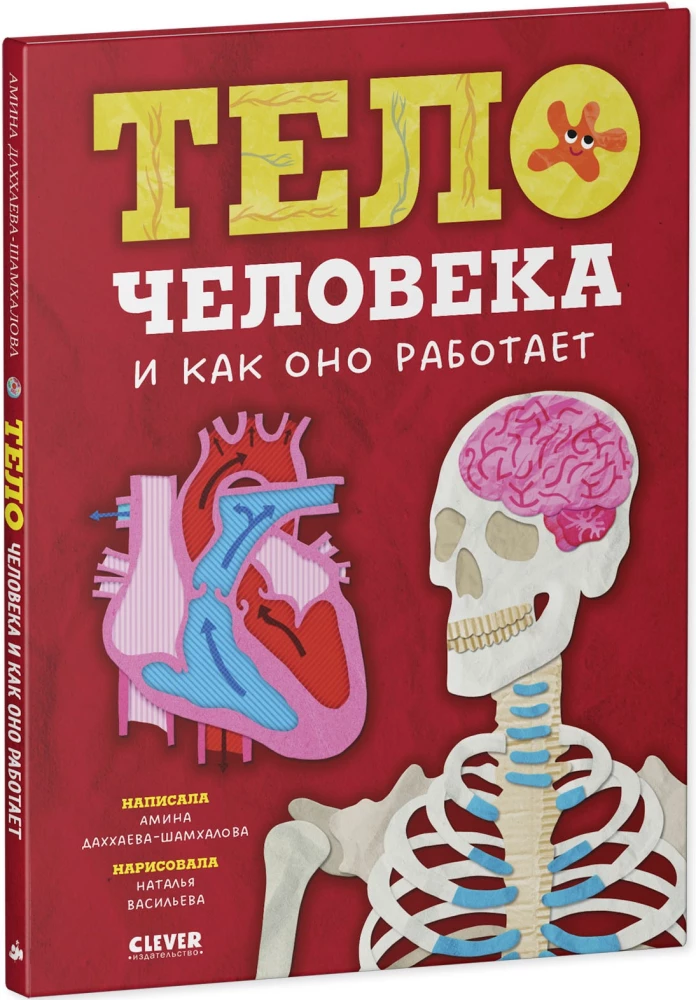 The Human Body and How It Works