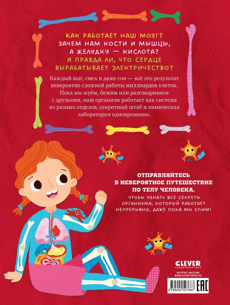 The Human Body and How It Works