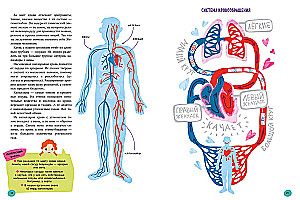 The Human Body and How It Works