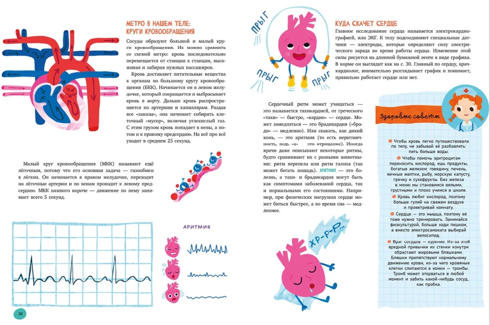 The Human Body and How It Works