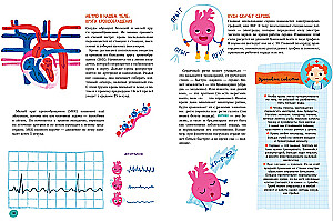The Human Body and How It Works