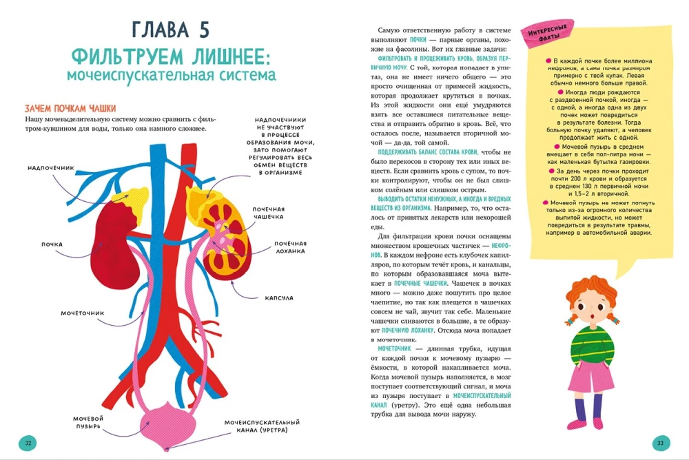 The Human Body and How It Works