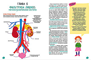 The Human Body and How It Works