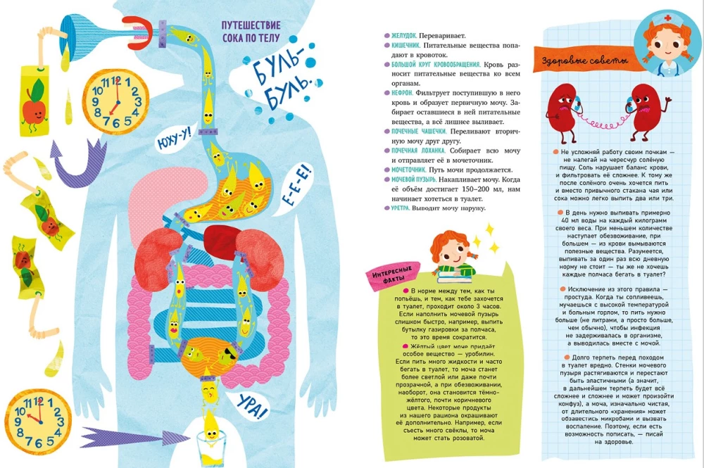 The Human Body and How It Works