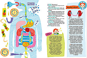 The Human Body and How It Works