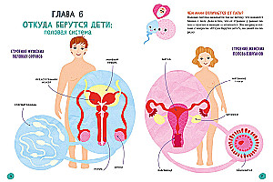 The Human Body and How It Works