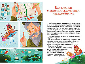 Shurochka and Murochka. The Great Expedition of Inquisitive Fleas