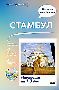 Стамбул. Что там делать. Маршруты на 3 дня
