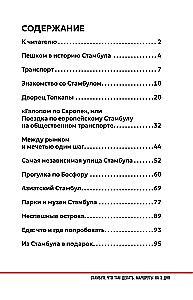 Стамбул. Что там делать. Маршруты на 3 дня