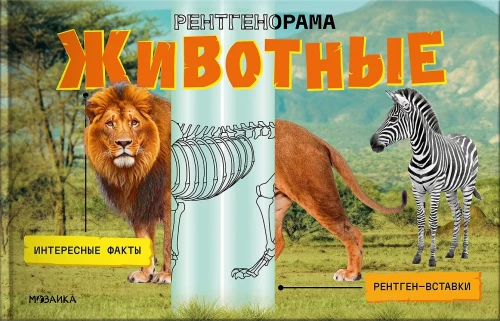 Röntgenorama. Tiere
