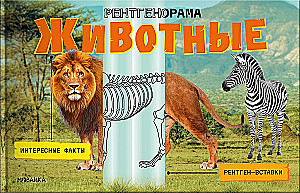 Рентгенорама. Животные