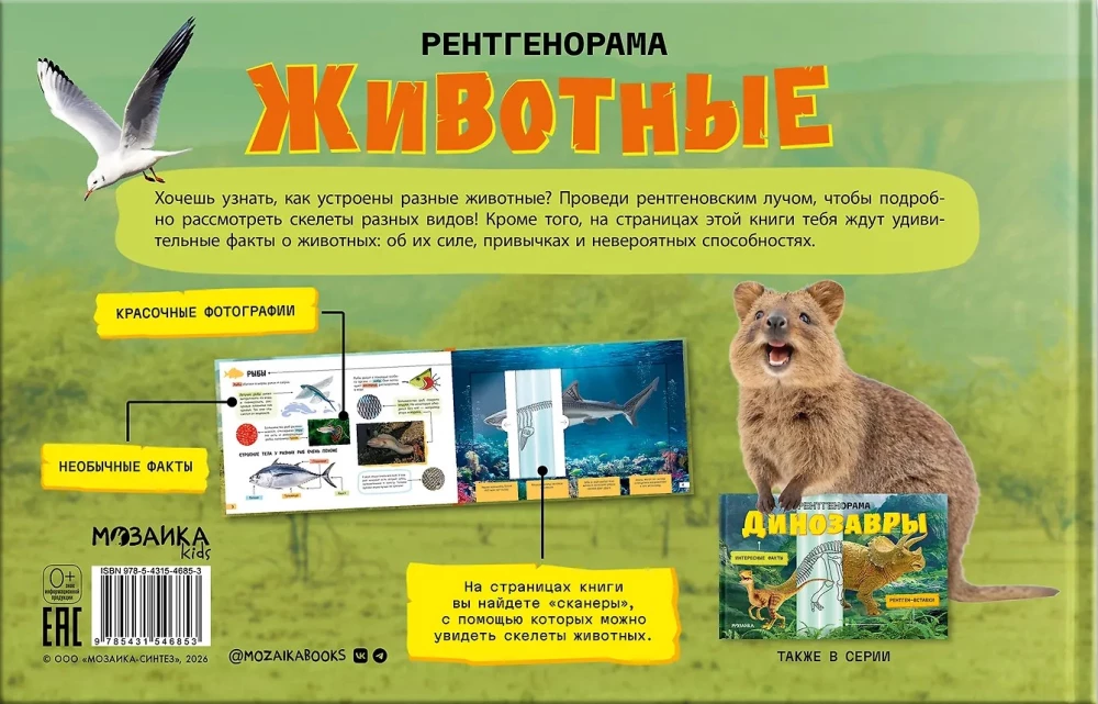 Рентгенорама. Животные