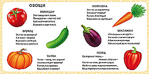 My First Pictures and Poems