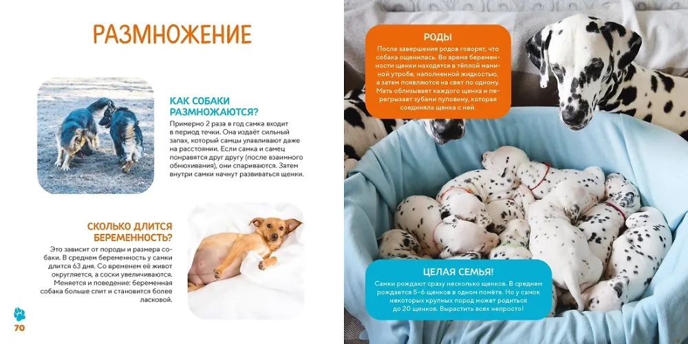 Mano pirma knyga apie gyvūnus. 200 nuotraukų