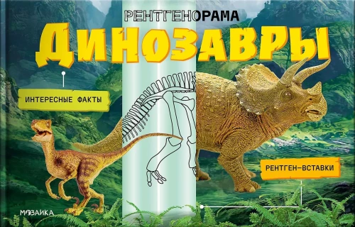 Röntgenorama. Dinosaurier