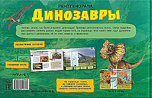 Рентгенорама. Динозавры