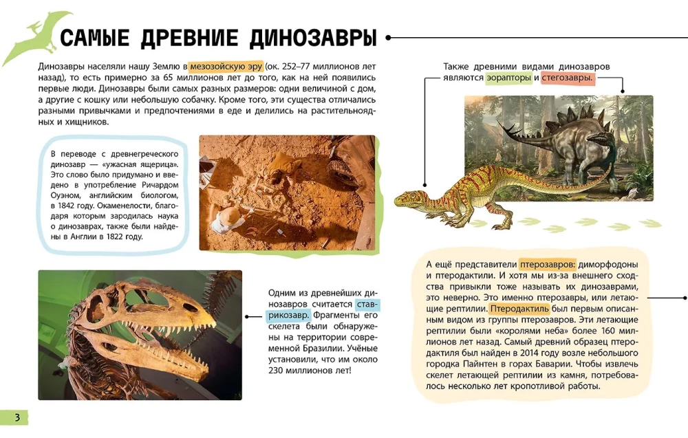 Рентгенорама. Динозавры