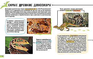 Рентгенорама. Динозавры
