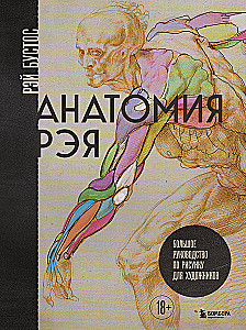 Анатомия Рэя. Большое руководство по рисунку для художников