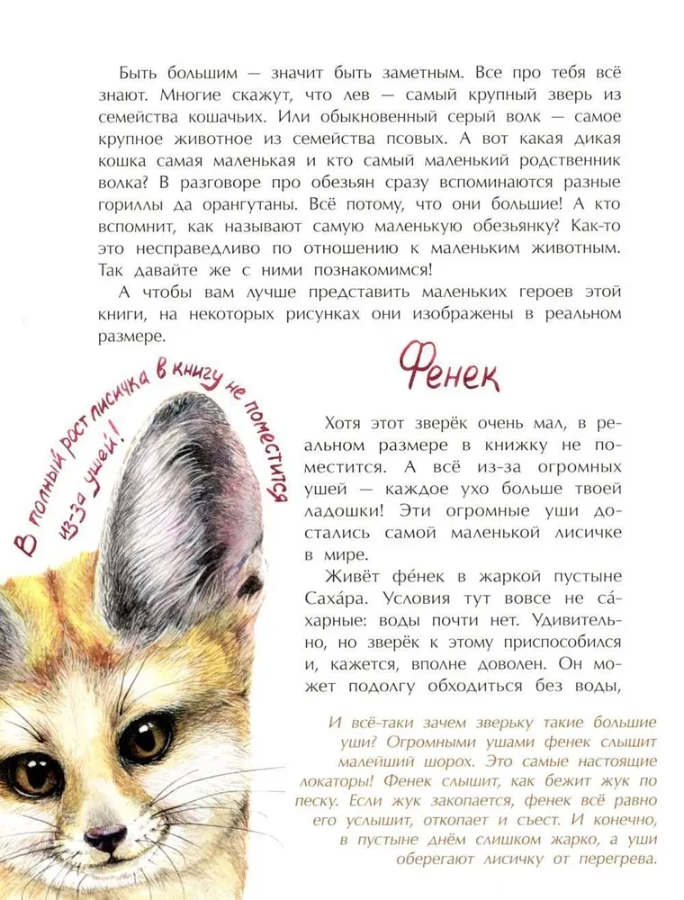 Tiere im Miniformat. Wer ist der Kleinste auf der Welt?