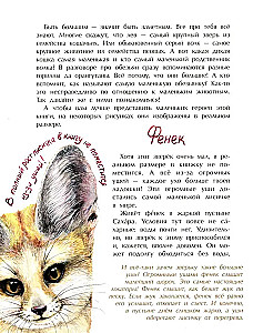 Tiere im Miniformat. Wer ist der Kleinste auf der Welt?