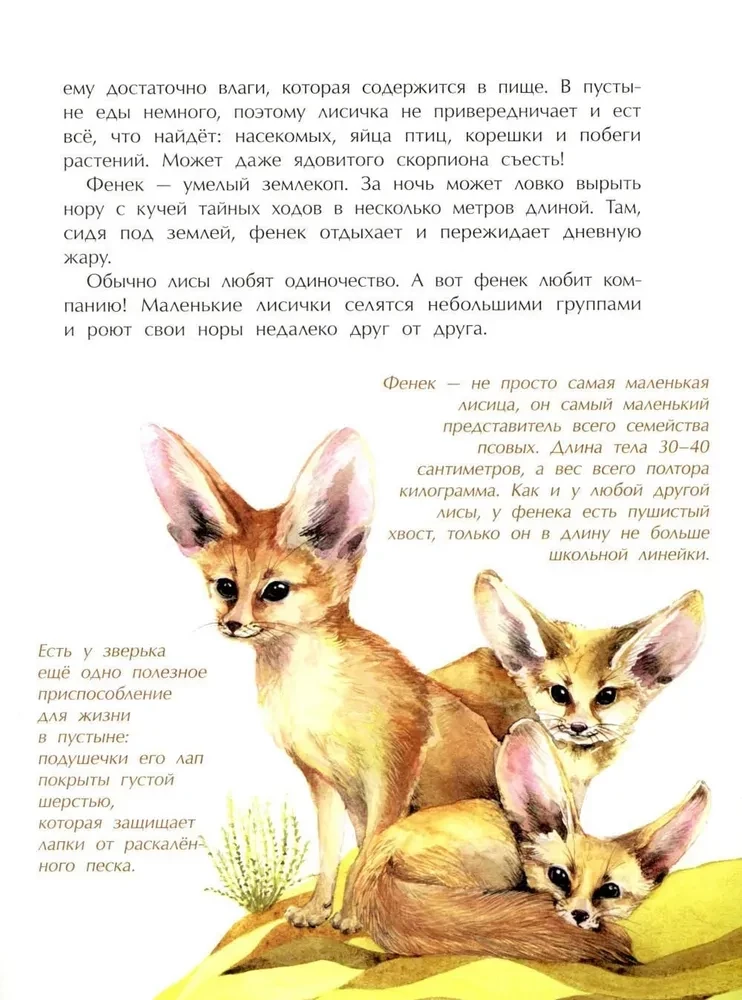 Tiere im Miniformat. Wer ist der Kleinste auf der Welt?